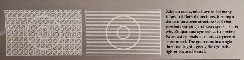 File:PXL 20231012 011009671.jpg