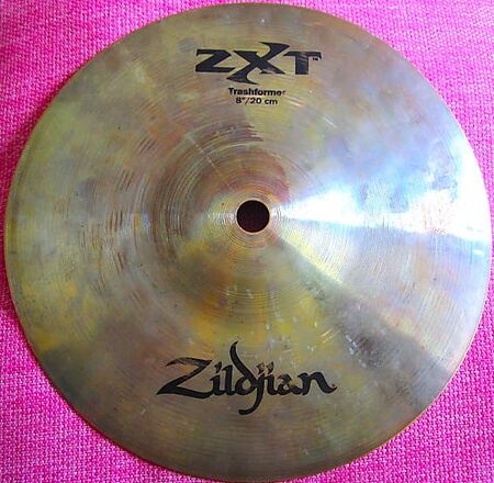 ZXT 8" Trashformer 1.jpg